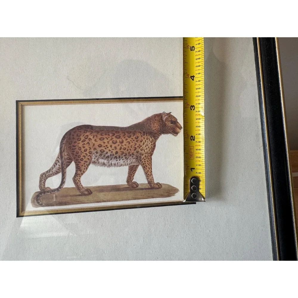 Vintage Black and Gold Animal Leopard Print Framed 12 x 10